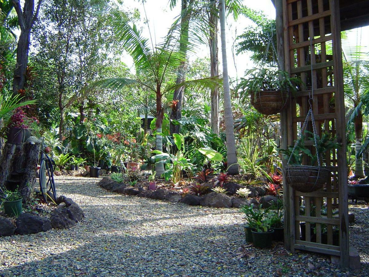Forest Lodge: Little Villa Agnes Water Exterior foto